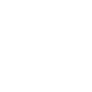 Tiktkok Blog